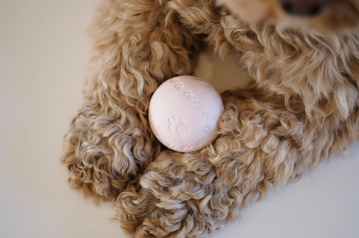 Puppy Play Ball Rose Verkauf