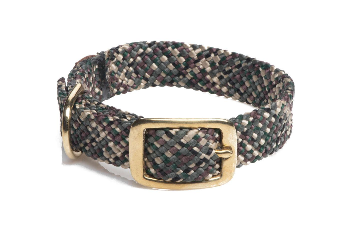 Dog Collar Tricolor Verkauf
