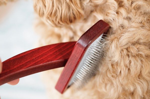 Maxi Pin Slicker Dog Brush Jetzt online – Bild 2