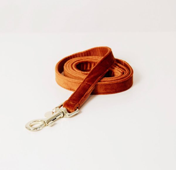 Dog Leash Velvet Orange Verkauf