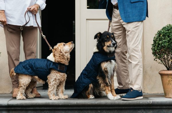 Dog Coat Navy Online-Verkauf – Bild 5