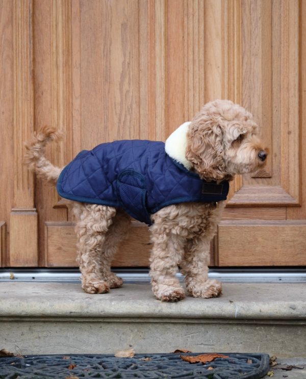 Dog Coat Navy Online-Verkauf – Bild 3