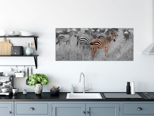 Zebraherde Savanne bei Sonnenuntergang B&W Detail, Glasbild Panorama Schn?ppchen – Bild 3