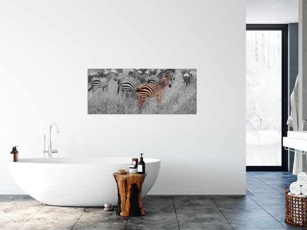 Zebraherde Savanne bei Sonnenuntergang B&W Detail, Glasbild Panorama Schn?ppchen – Bild 4