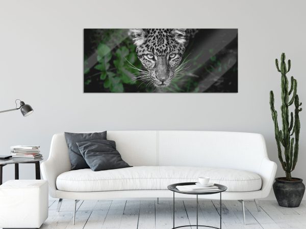 gefährlicher Panther im Wald von oben B&W Detail, Glasbild Panorama Verkauf – Bild 2