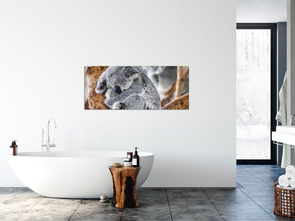 Koala schläft eingekuschelt im Baum, Glasbild Panorama Im Angebot – Bild 4